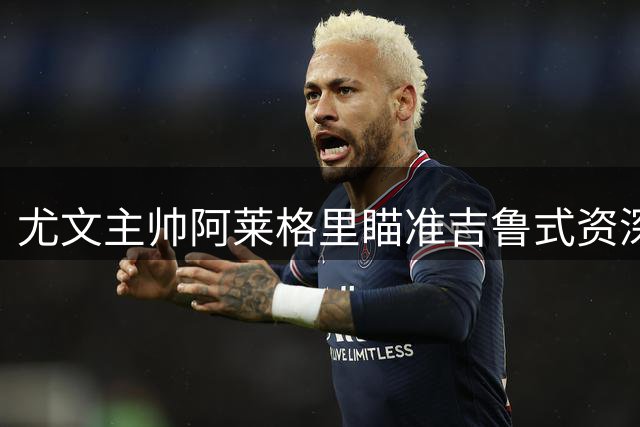 尤文主帅阿莱格里瞄准吉鲁式资深锋线引援