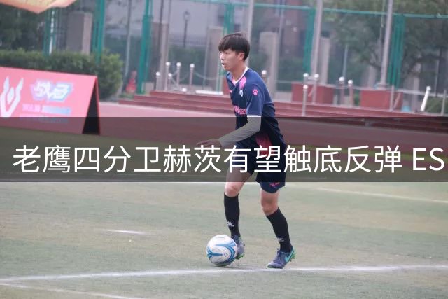 老鹰四分卫赫茨有望触底反弹 ESPN预测明夏或签巨额新约